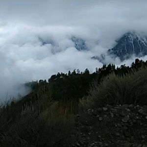 Meet your Posher, Jose